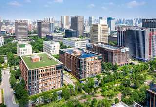 安徽美国云杉刨制胶合板哪里有